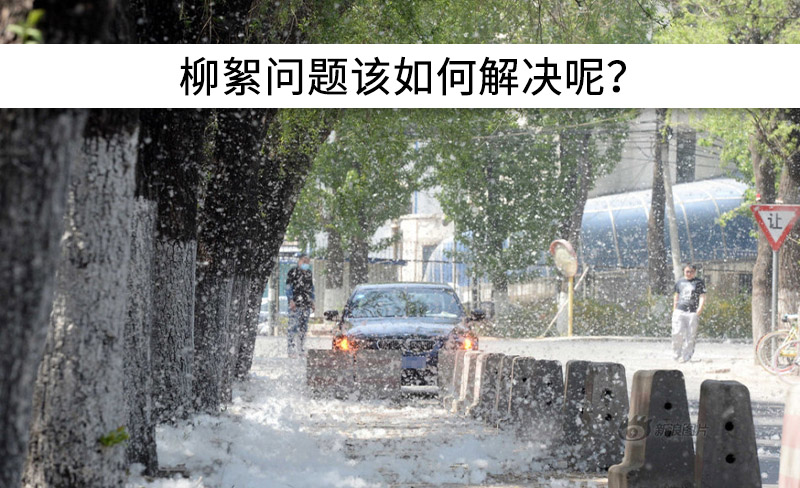 遇到“柳絮”不慌!這樣做，節(jié)能維修費(fèi)用